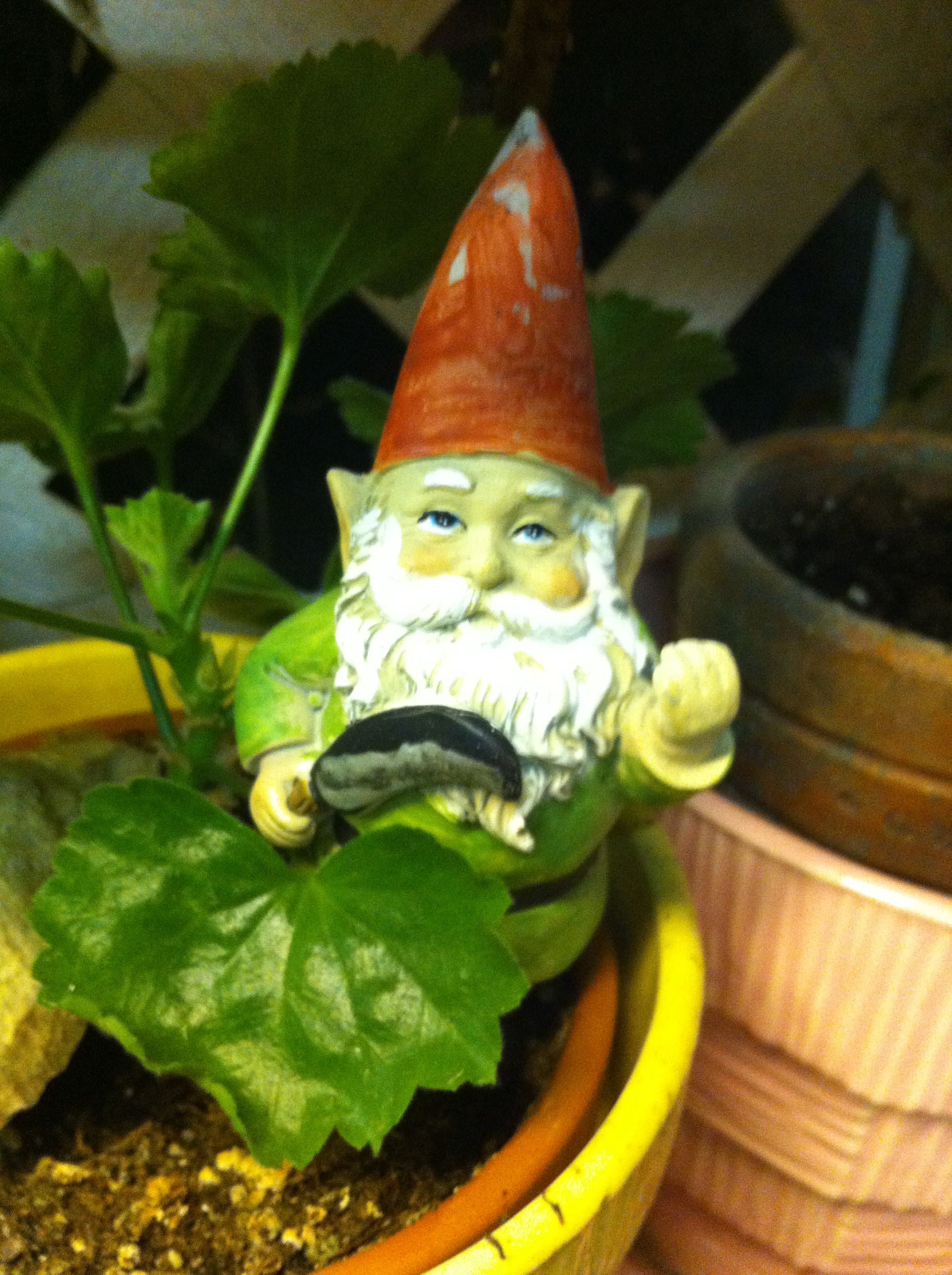 Vintage Bearded Garden Gnomes