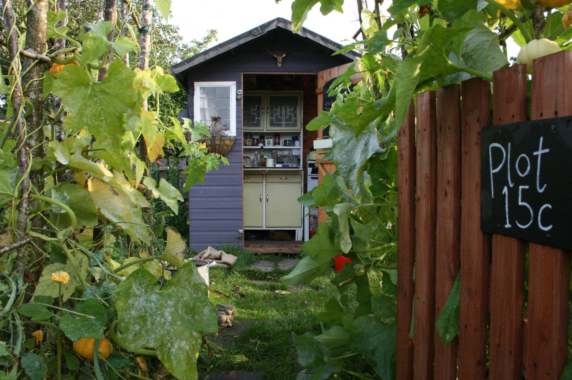 Allotment Garden