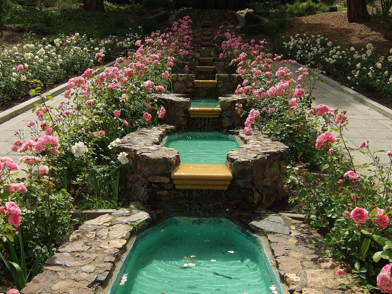 Morcom Rose Garden Garden