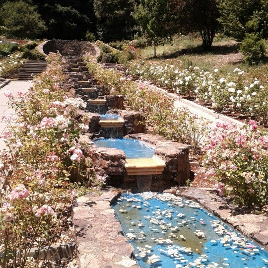 Morcom Rose Garden Garden