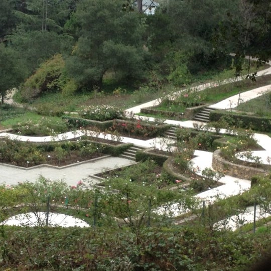 Morcom Rose Garden Garden