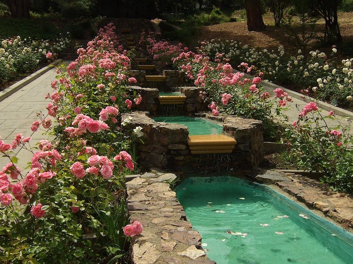 Rose Garden Oakland Secret Morcom Rose Garden