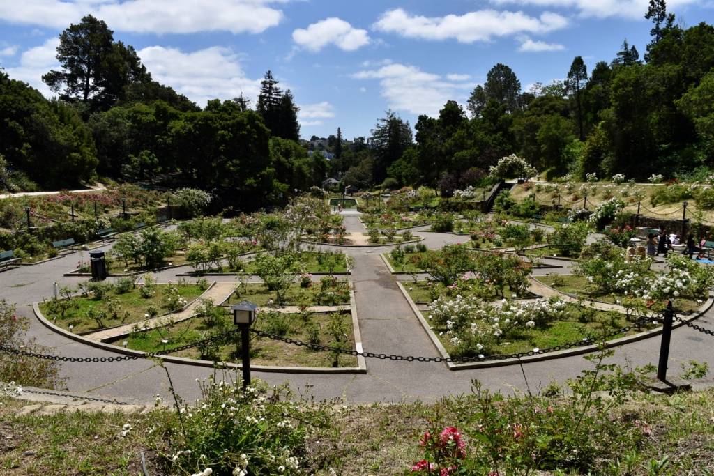 Landscaping Rose Garden Green Design Rose Garden Landscape