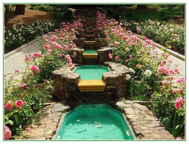 Morcom Rose Garden Grand Lake Oakland