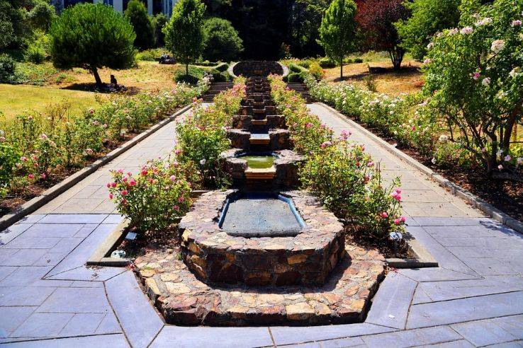 Morcom Rose Garden Oakland