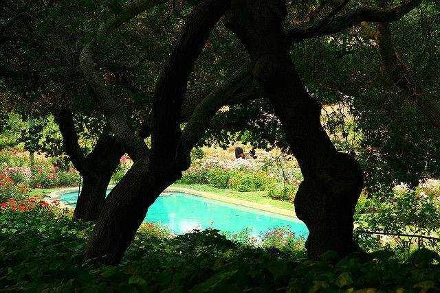 Oakland Rose Garden History
