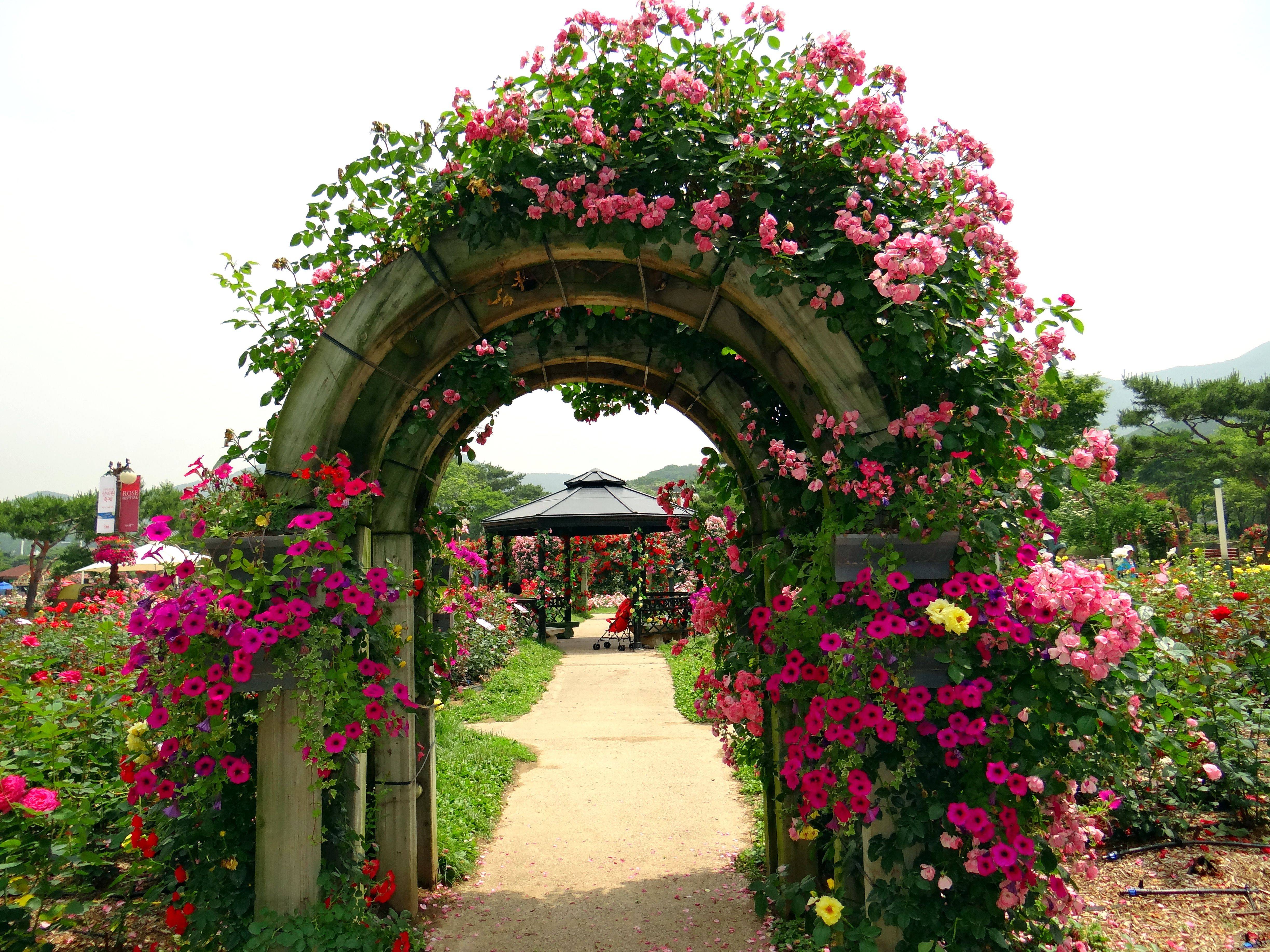 Rose Garden Area