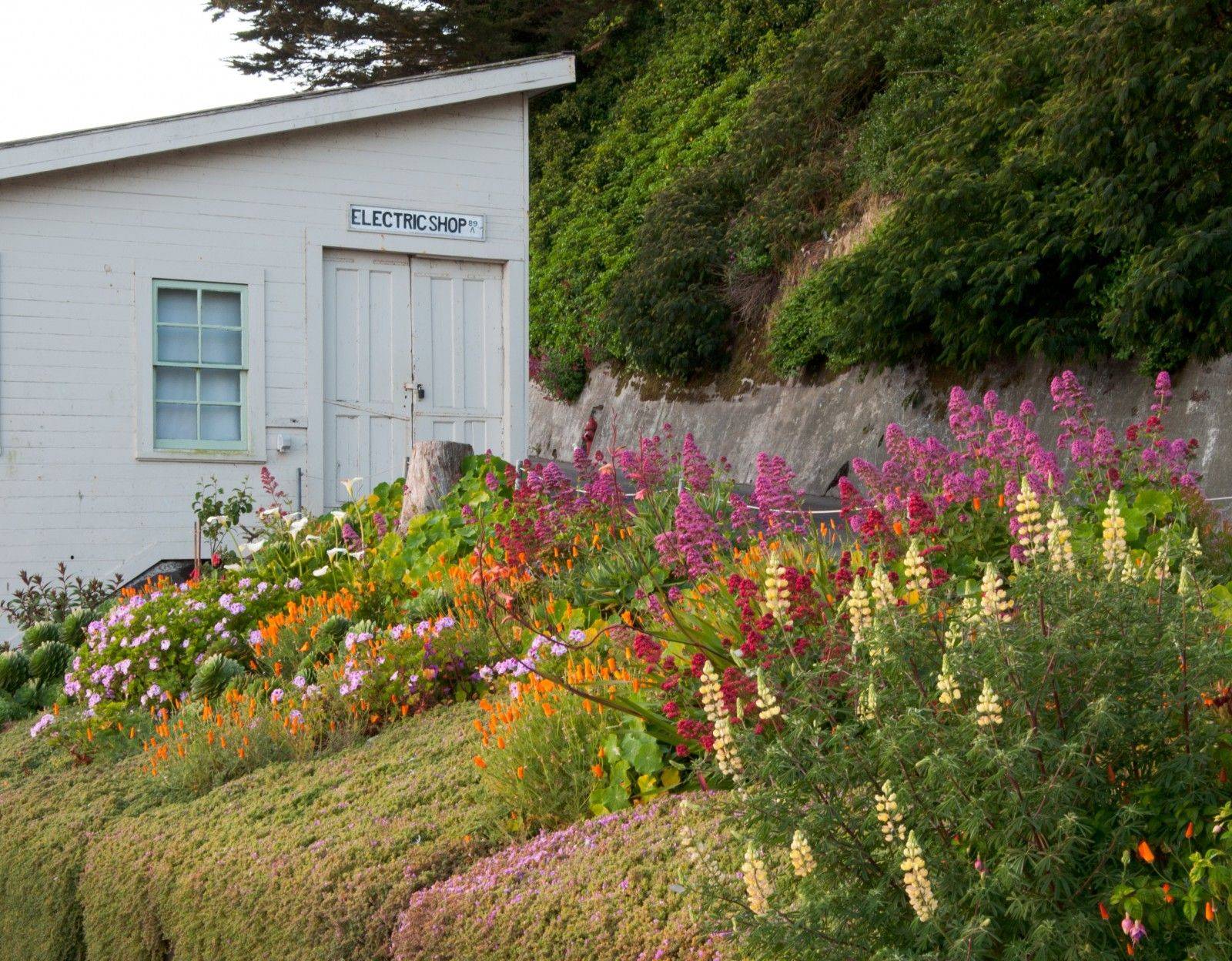 Best Cottage Style Garden Ideas