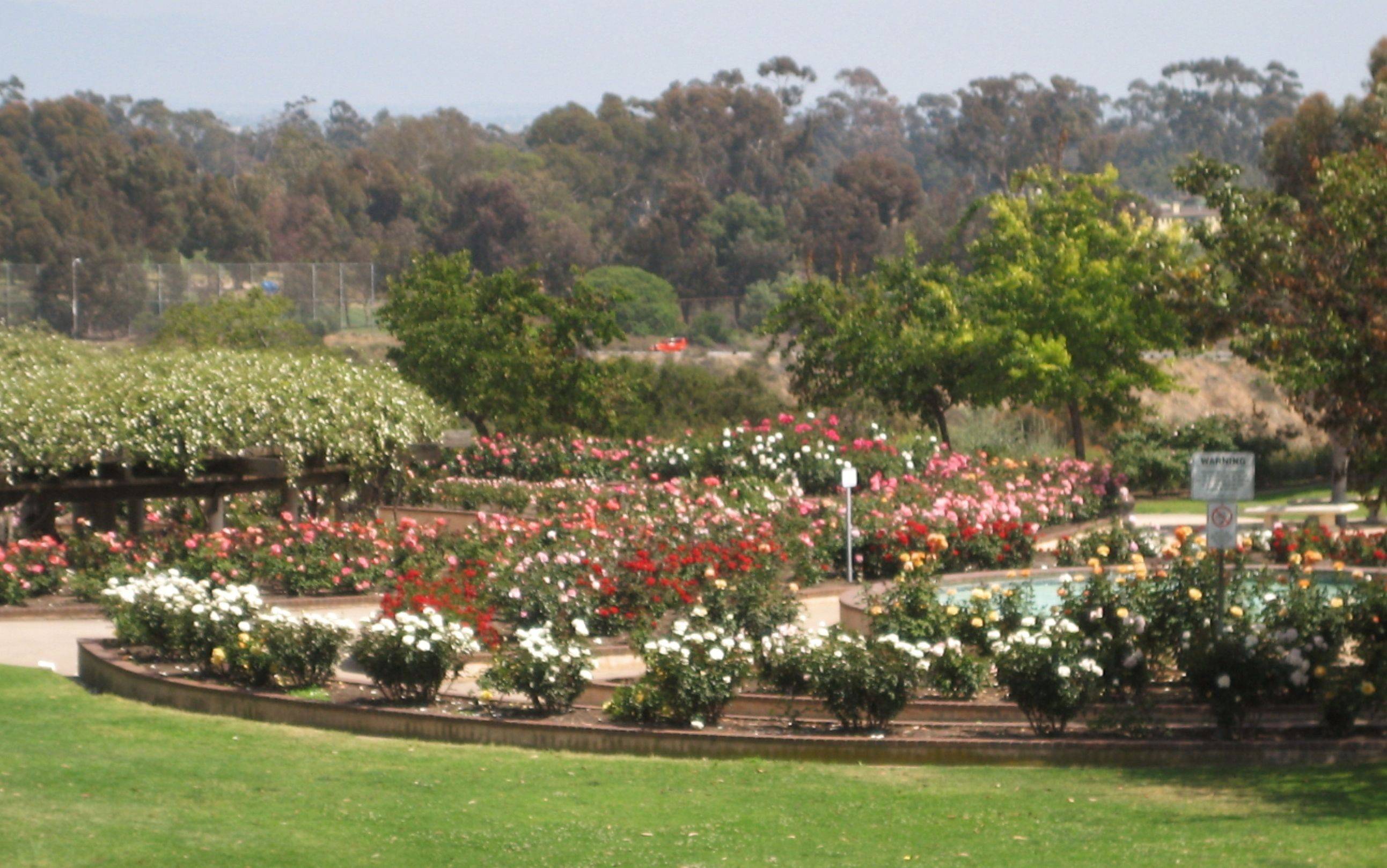 Heritage Rose Garden San Jose