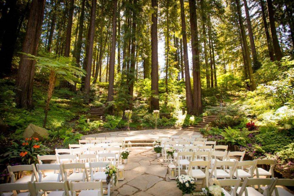 Wonderful Wedding Arbors