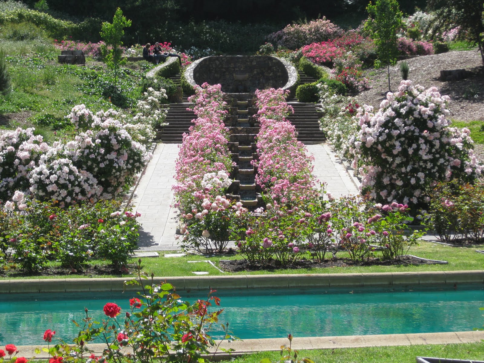 Japanese Friendship Garden