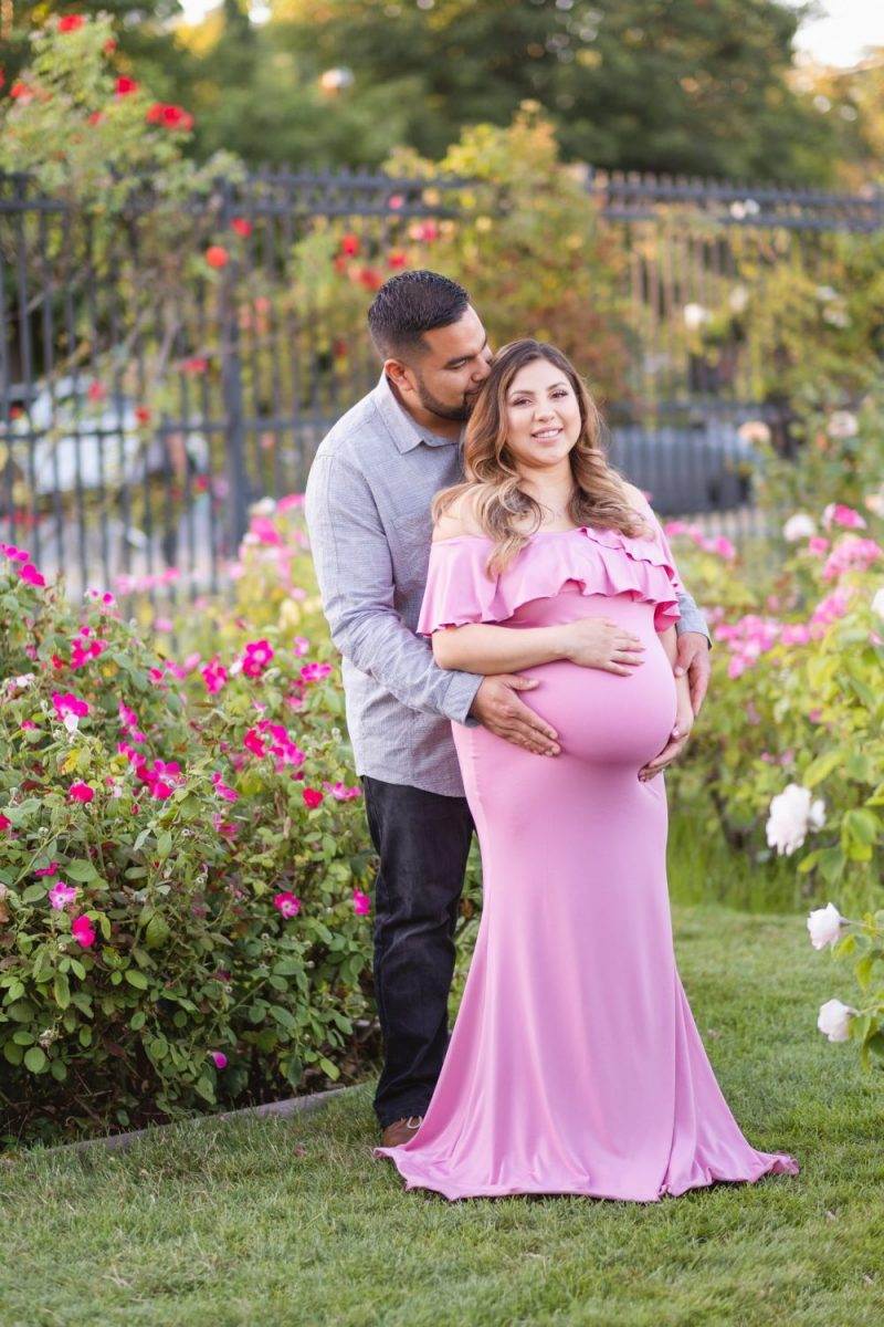 Japanese Friendship Garden