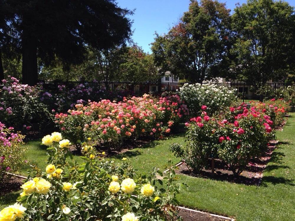 Memorial Rose Garden San Diego