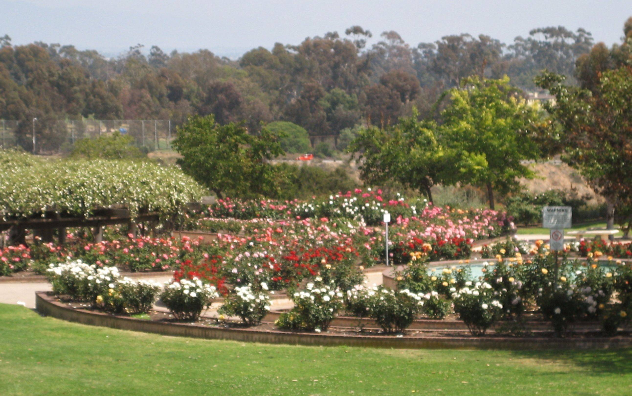 San Jose Municipal Rose Garden