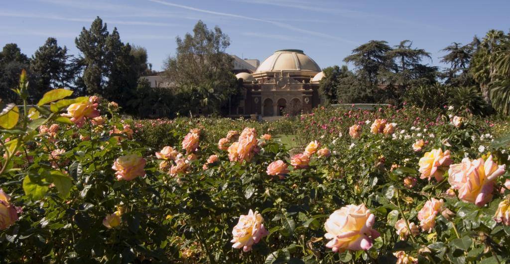 Your Dream Rose Garden Architectural Digest