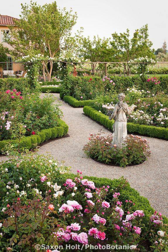 Mediterranean Rose Garden Mediterranean Landscape