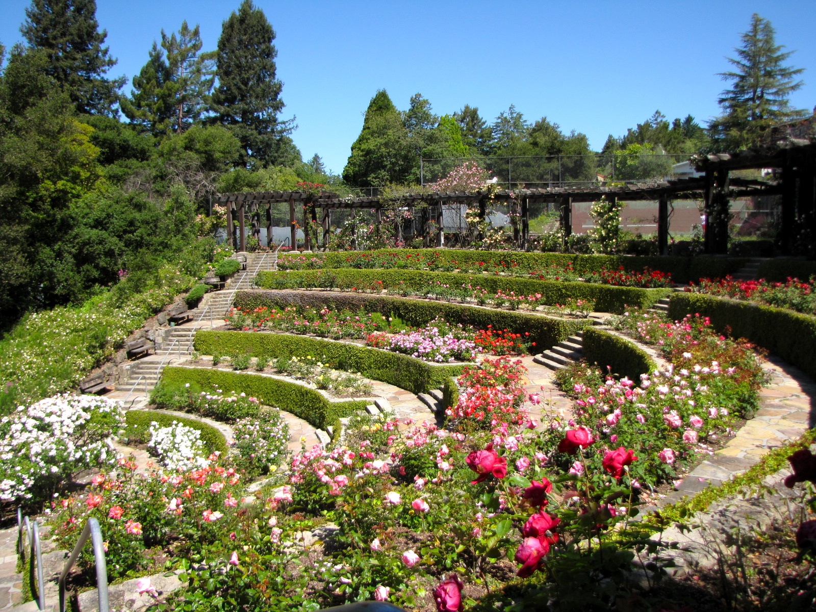 San Jose Rose Garden