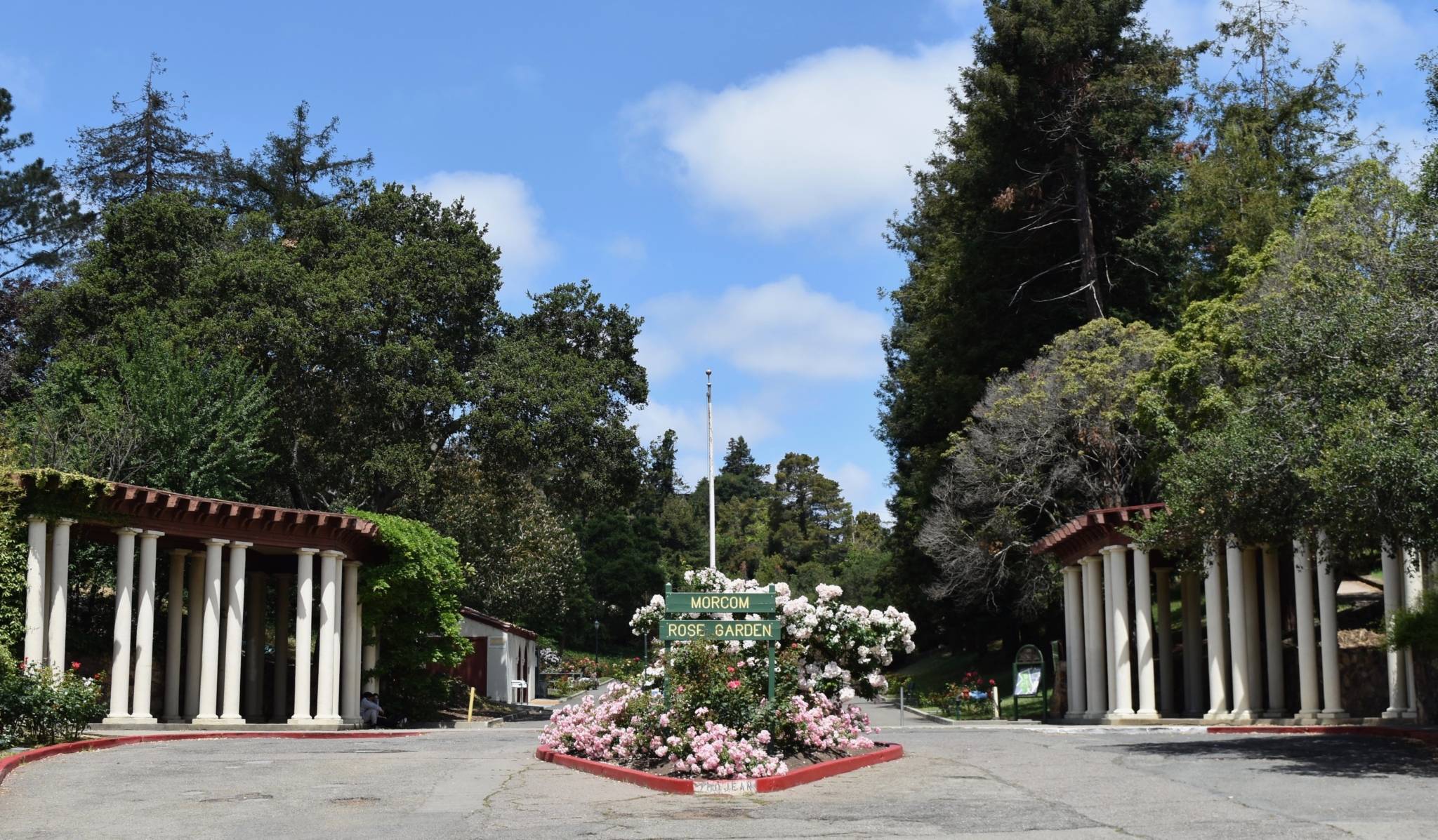 Morcom Rose Garden Oakland Ca