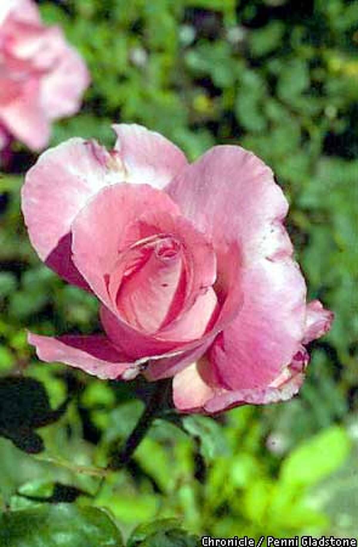 A Refreshing Retreat Paperblog