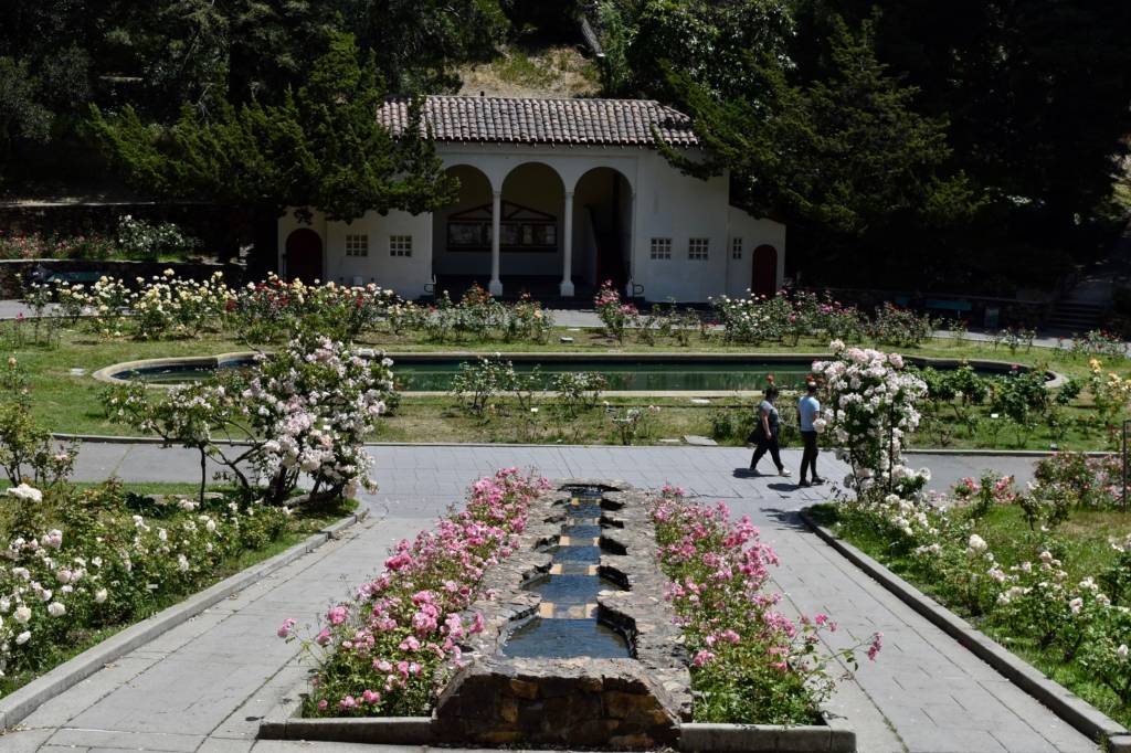 View Up Cascade Morcom Rose Garden Oakland Ca Living New Deal