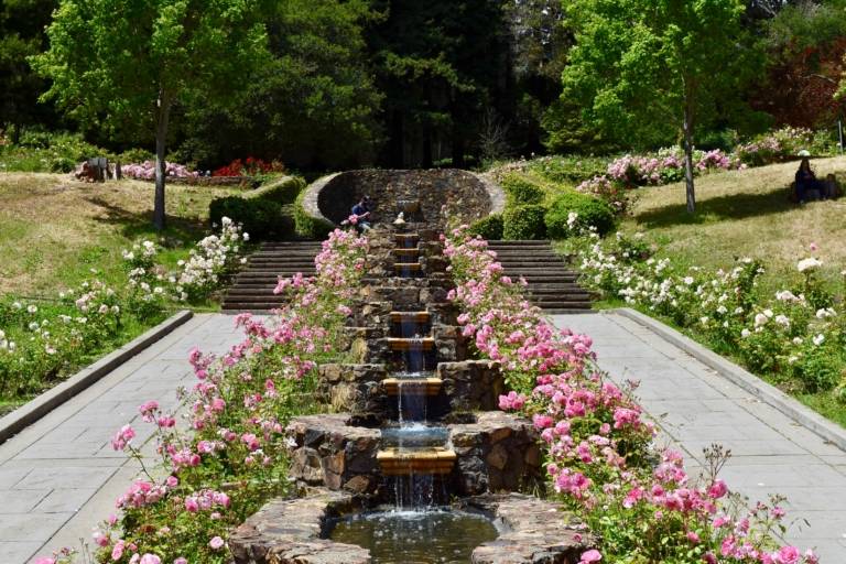 Morcom Rose Garden Oakland Ca