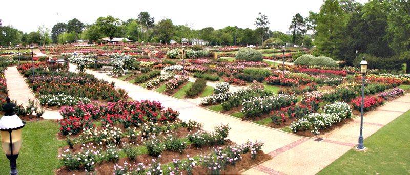 Municipal Rose Garden