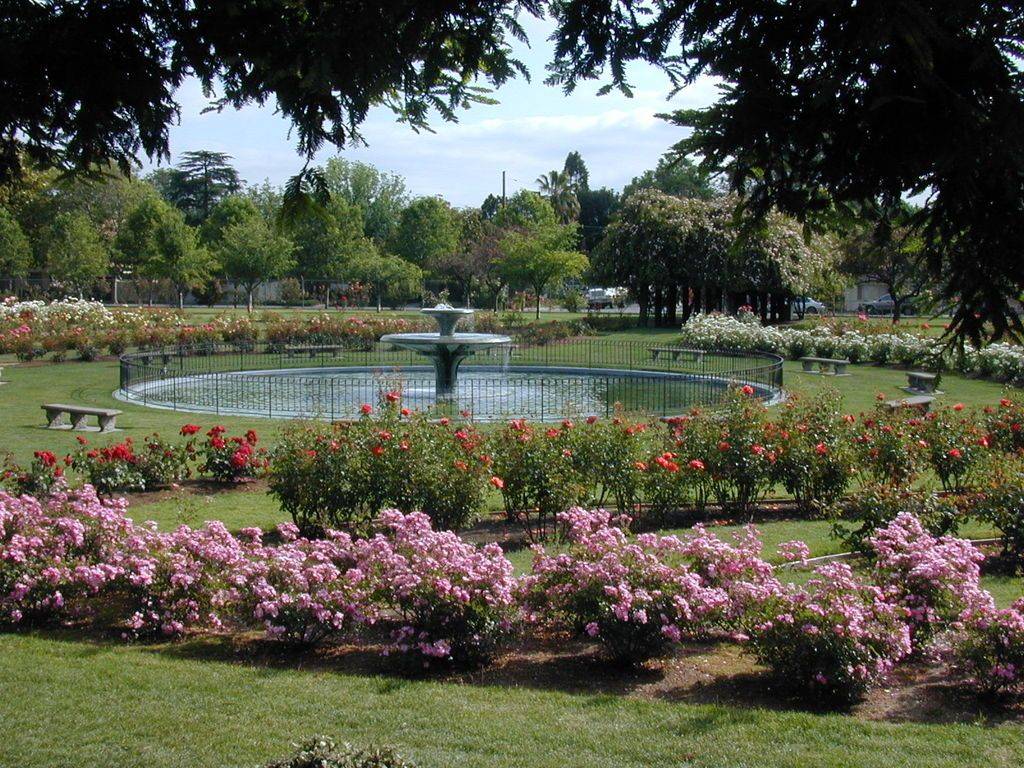 16 Municipal Rose Garden Ideas To Consider SharonSable