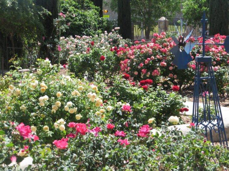 Tyler Municipal Rose Garden