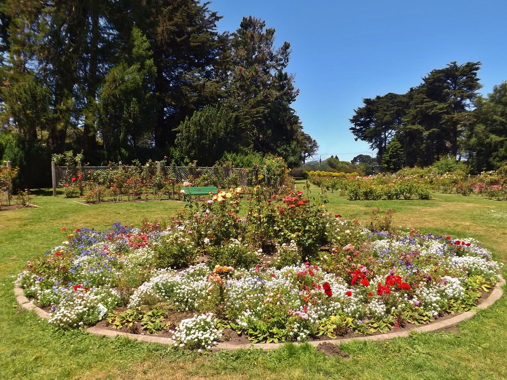 Rose Garden Golden Gate Park Tips