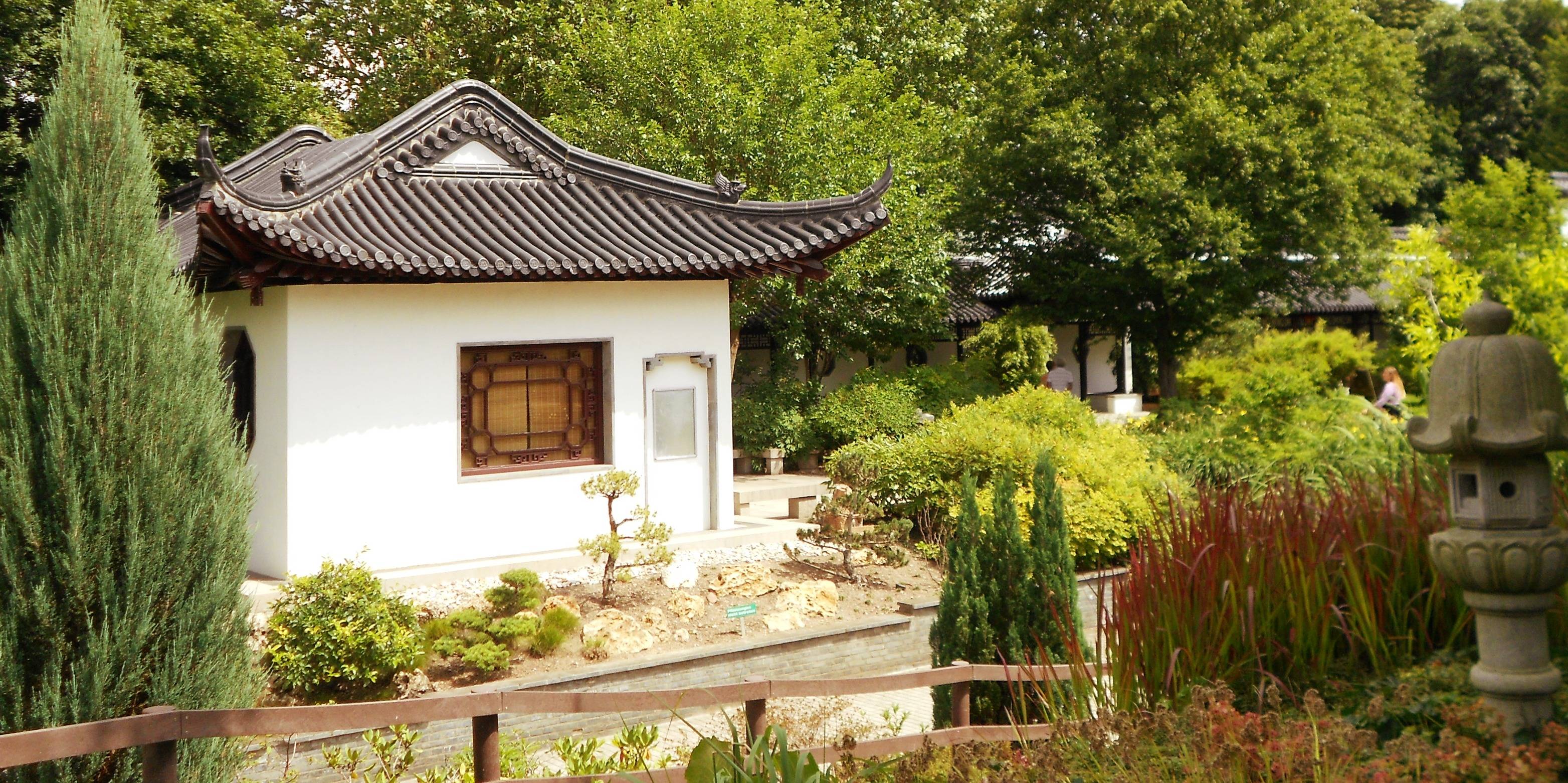 Landscaping Ideas