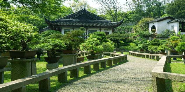 Garden Landscaping