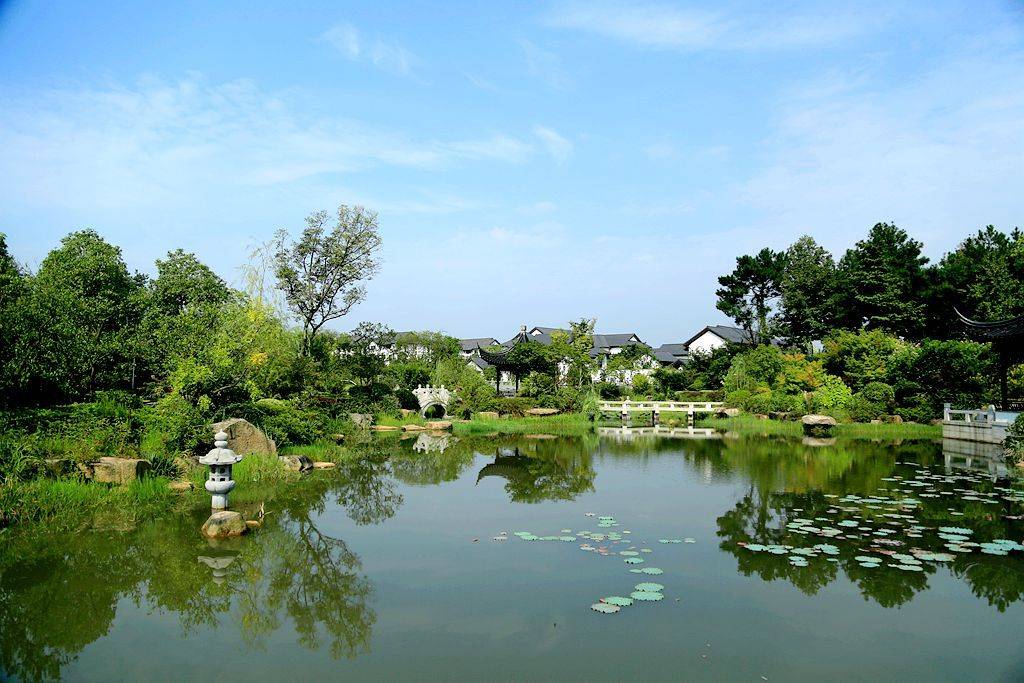 Hangzhou Chrysanthemum Exhibition