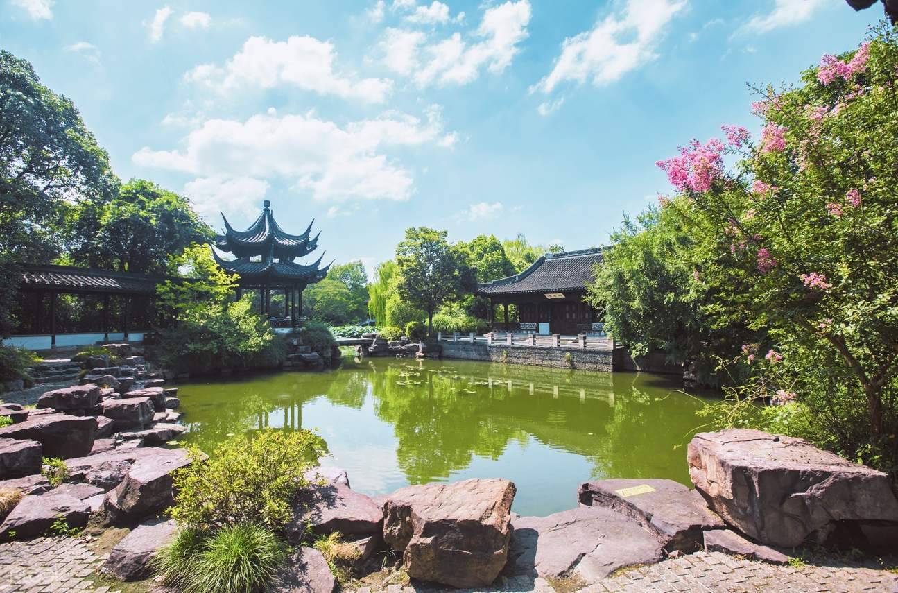Hangzhou Painting Art Plants