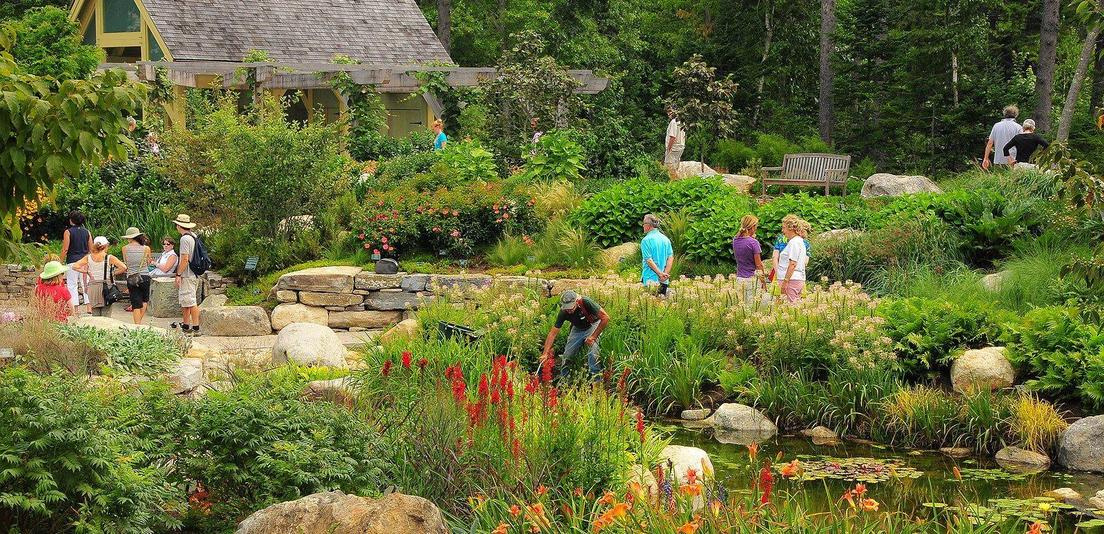 Wilson Castle Proctor