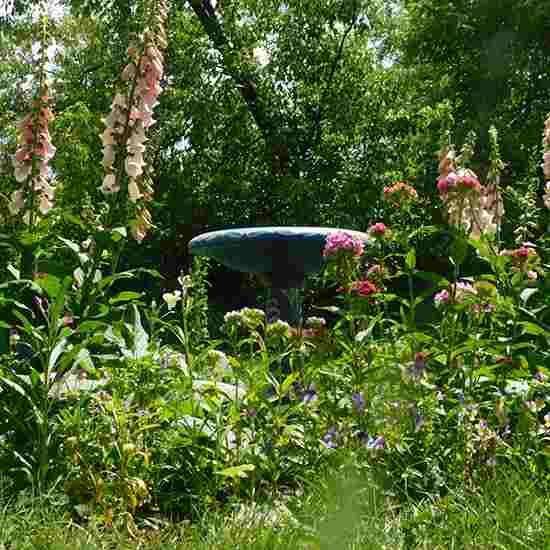 Hanging Gutter Garden Gutter Garden