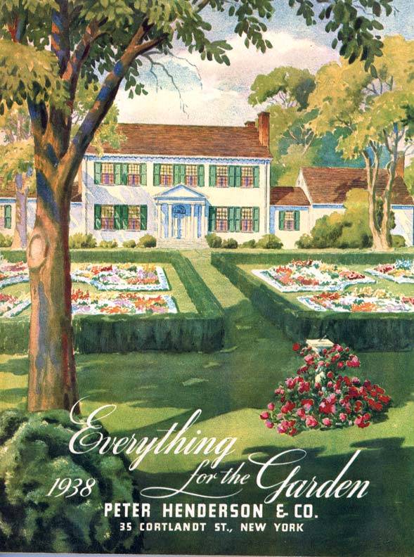 Lowmaintenance Shrubs