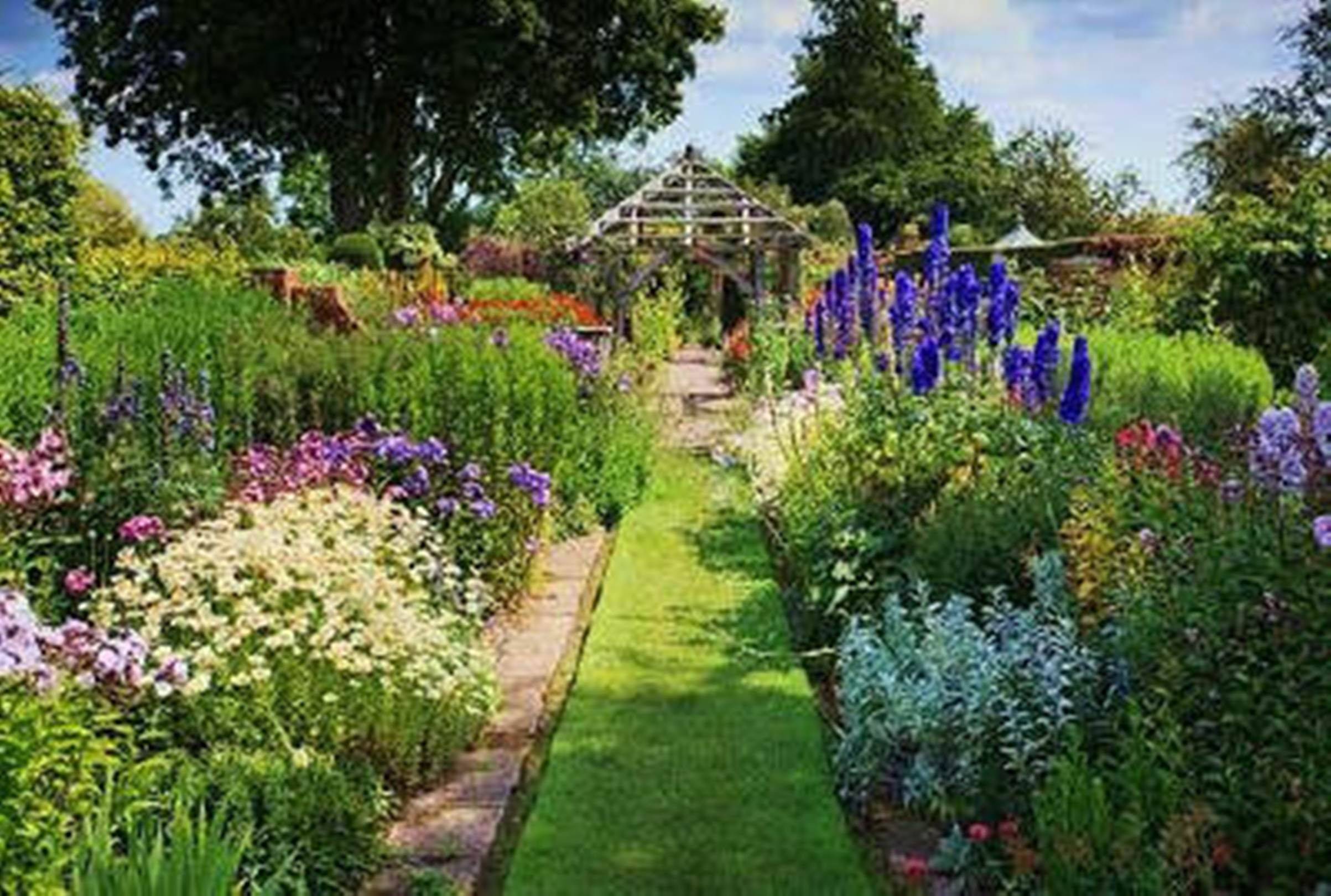 Shropshire Gardenista