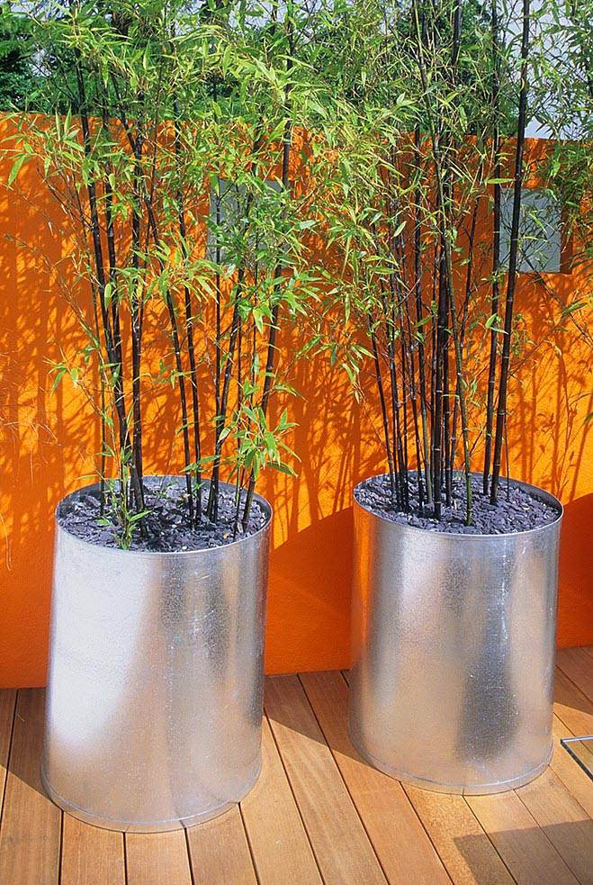 Wooden Planters
