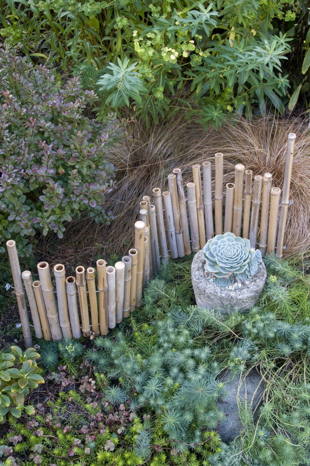 Backyard Bamboo Garden Ideas Bamboo Tree Decorations