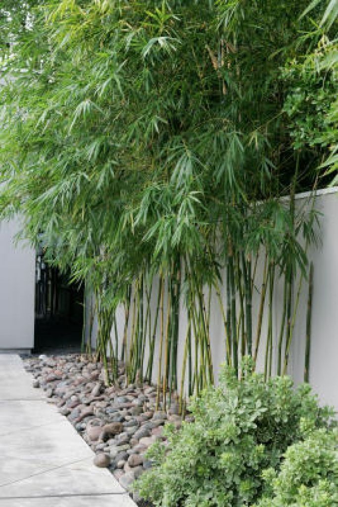 22 Bamboo Garden Art Ideas You Cannot Miss SharonSable