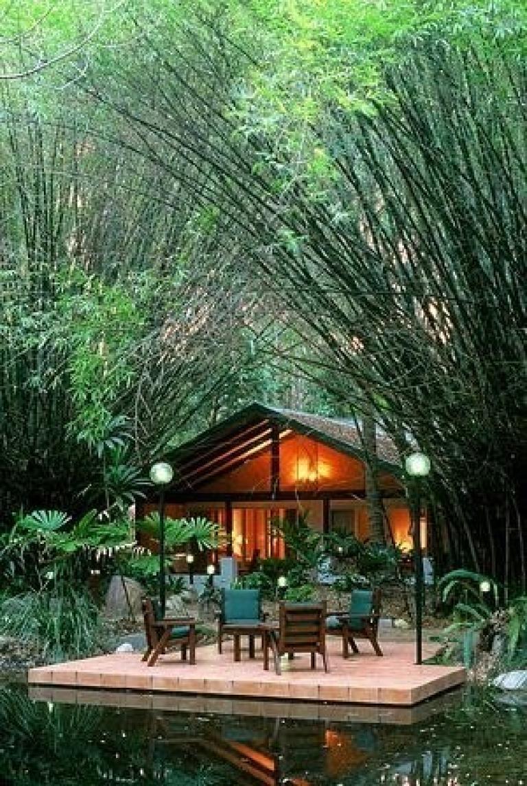 22 Bamboo Garden Art Ideas You Cannot Miss | SharonSable