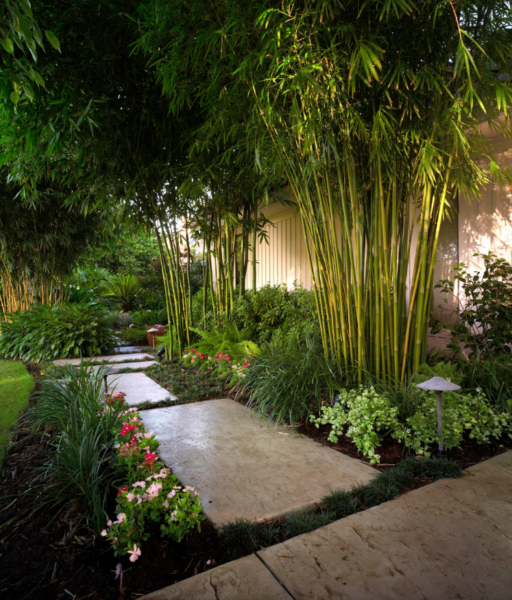 Easy And Attractive Diy Projects Using Bamboo Bamboo Diy Bamboo