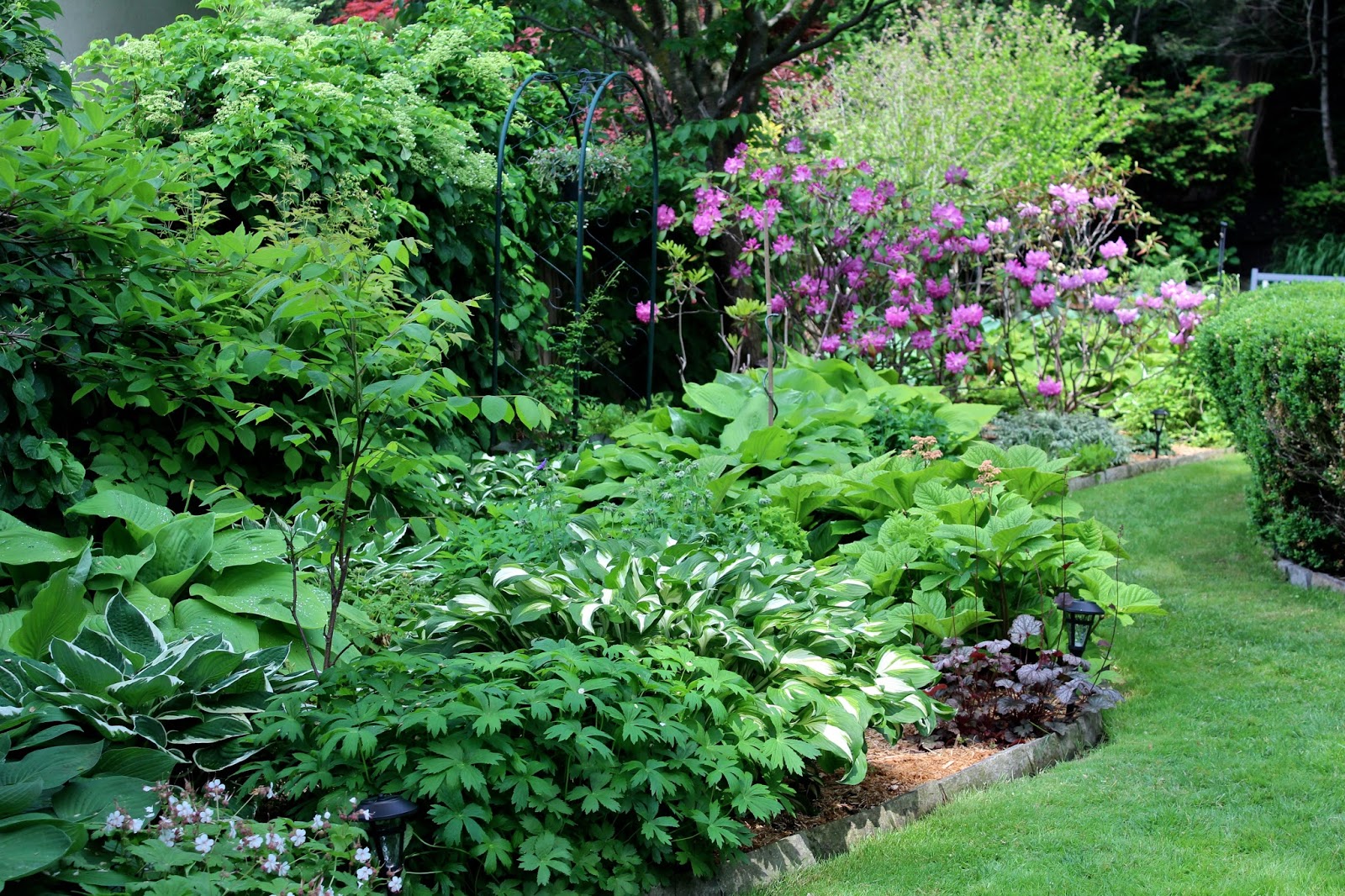Modern Backyard Garden Ideas