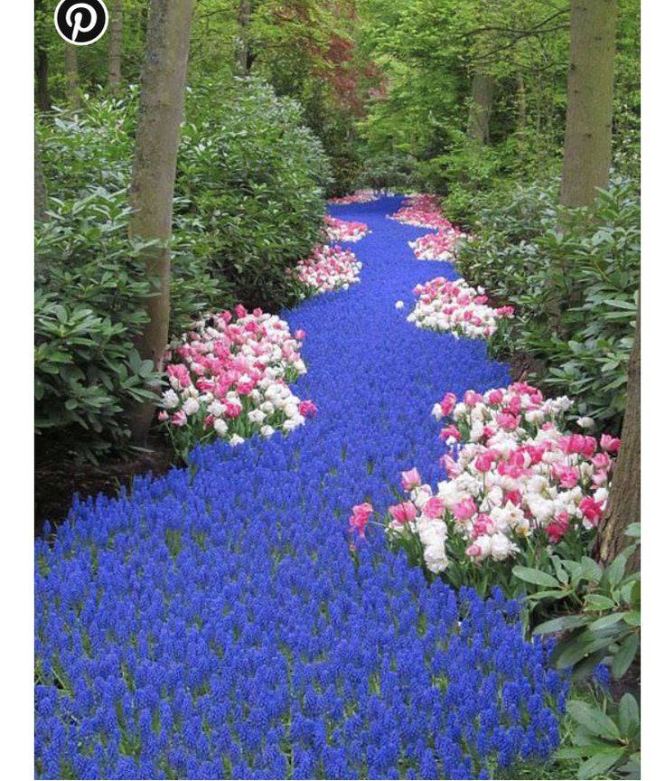 Heavenly In Beautiful Flowers