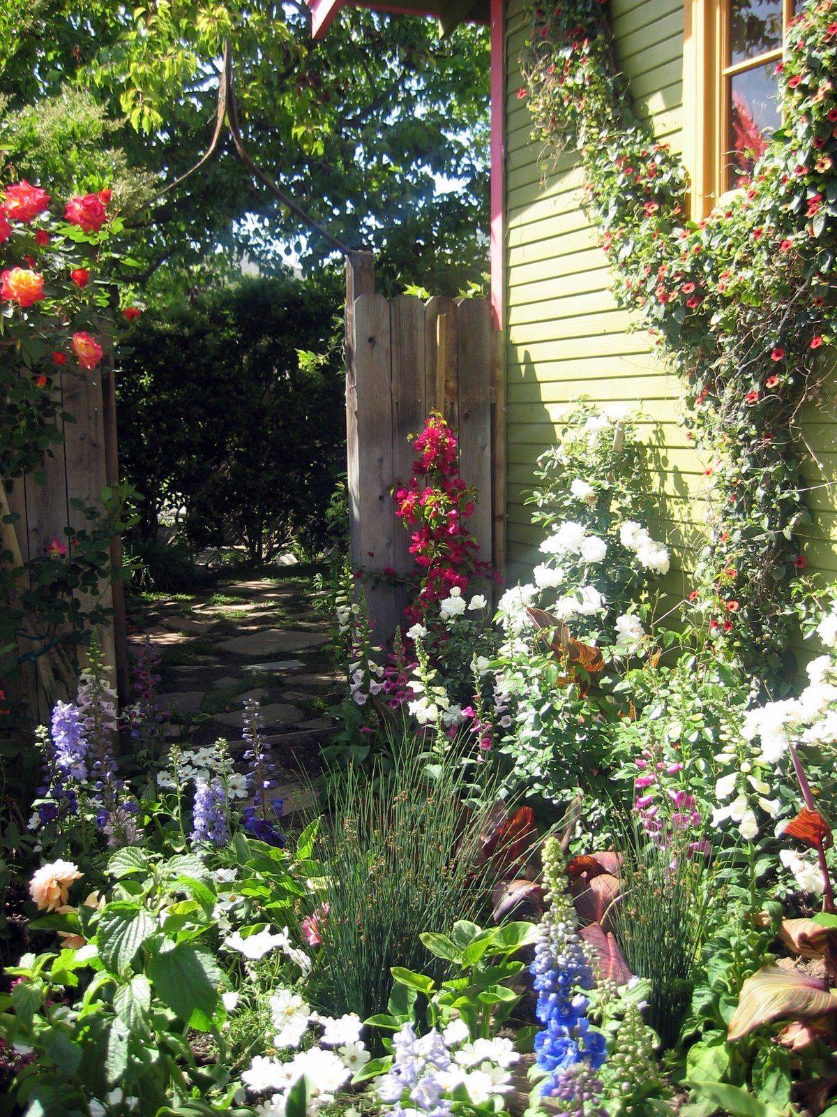 Shade Container Garden Containers