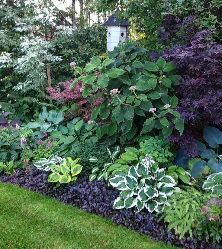 Outdoor Gardens
