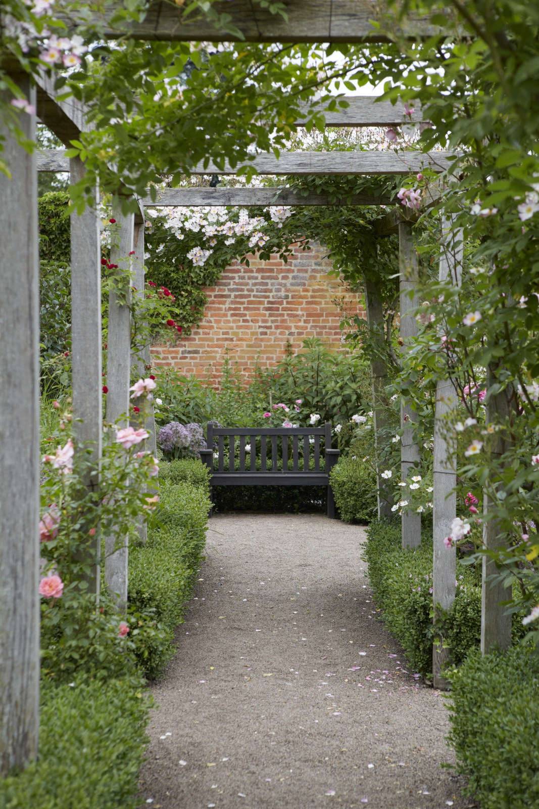 Snart Blommar Min Sammetshortensia