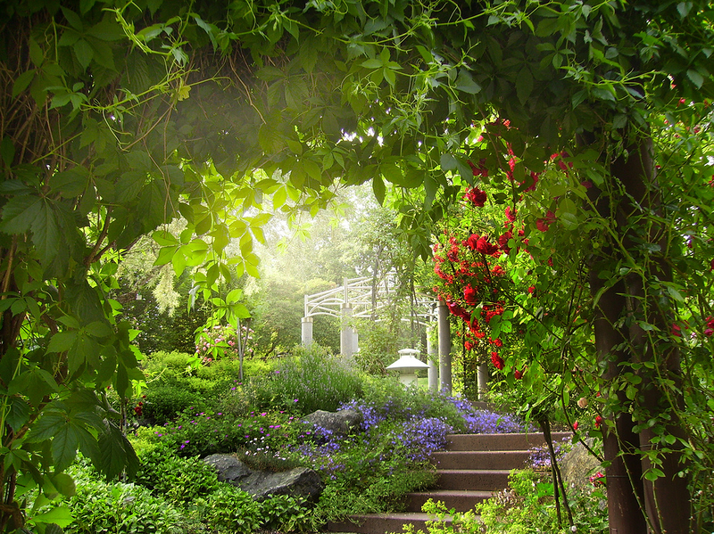 Beautiful Gardens