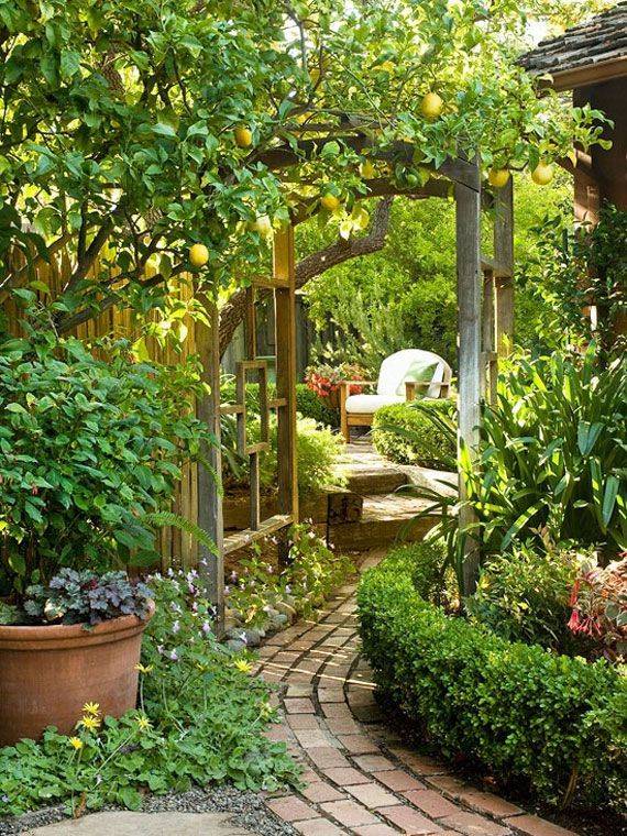 Charming Green Garden Ideas