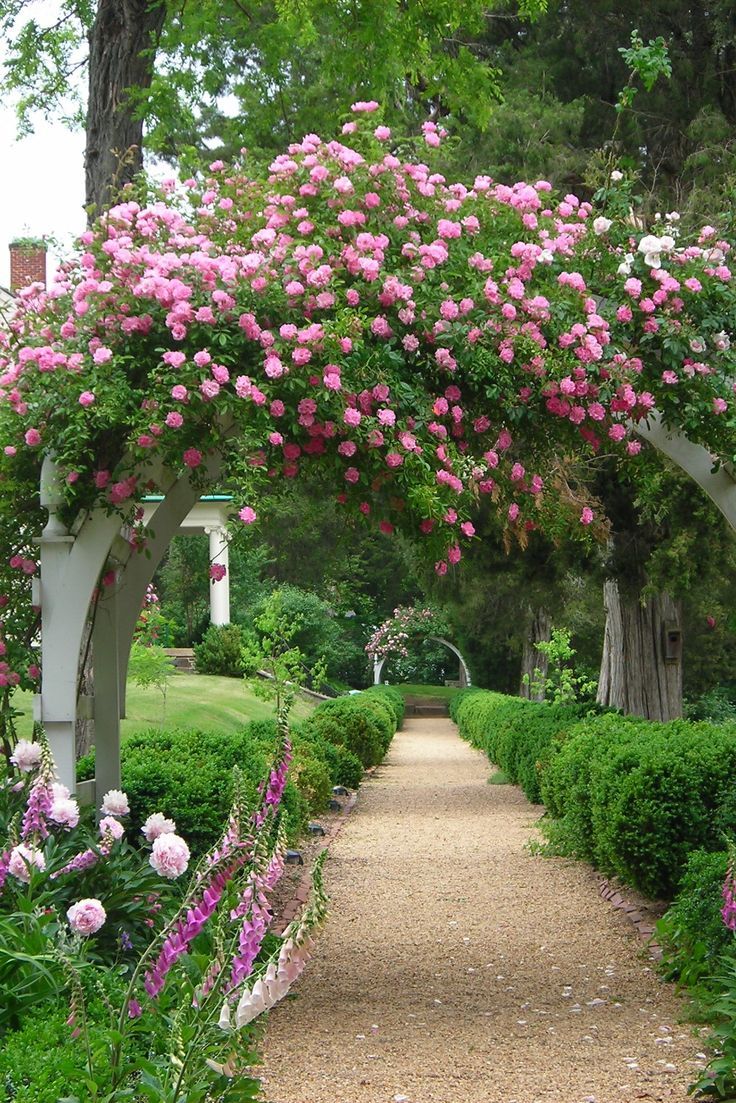 Pinterest Beautiful Gardens